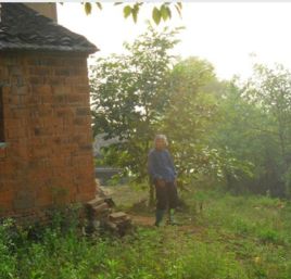 翹首以盼 翹首以盼