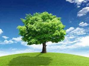 生態安全與生態建設