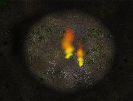 希望的火種 希望的火種