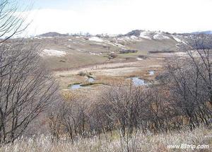 內蒙古達來諾爾國家級自然保護區