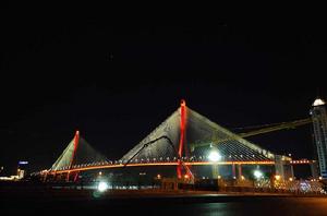 楊浦大橋 楊浦大橋