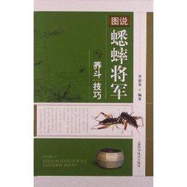 圖說蟋蟀將軍與養鬥技巧 圖說蟋蟀將軍與養鬥技巧
