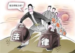 依法執政 依法執政