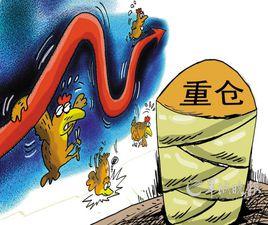 基金重倉股 基金重倉股