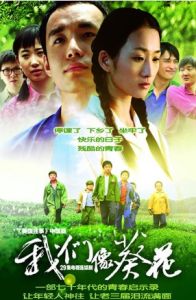 《我們像葵花》 《我們像葵花》