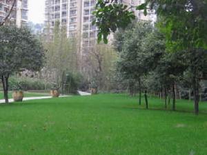 白鶴林商住樓 白鶴林商住樓