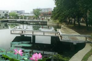 安徽農業大學-校園風景