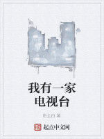 我有一家電視台 我有一家電視台