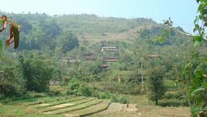 馬桑自然村 馬桑自然村