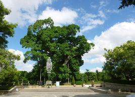 中山公園[福建省泉州市中山公園]