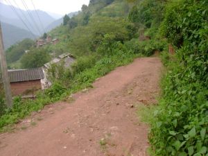 羅成田自然村 羅成田自然村