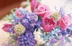 鮮花物語 鮮花物語