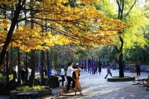 益壽山公園 益壽山公園