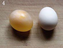 透明雞蛋