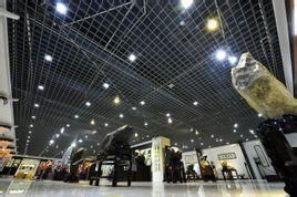 張家界康迪地質博物館 張家界康迪地質博物館