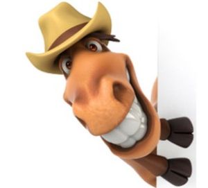 神馬14號 神馬14號