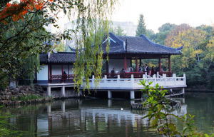 莘城中央公園 莘城中央公園