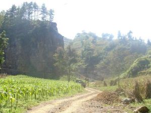 王家灣自然村 王家灣自然村