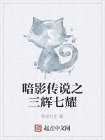 暗影傳說之三輝七耀