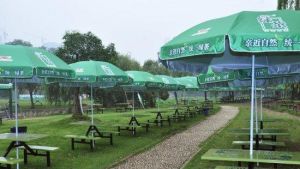 東湖楚風樂園 東湖楚風樂園