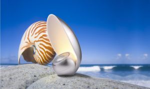 “小海螺”語音機器人法式情調鸚鵡螺，人機互動更自然