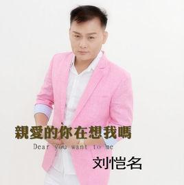 親愛的你在想我嗎 親愛的你在想我嗎