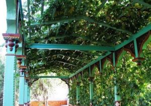 福樂智慧園 福樂智慧園