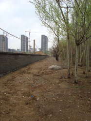 陽光美居 陽光美居