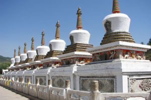 （圖）塔爾寺是藏傳佛教格魯派