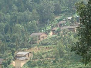 楊加沖自然村 楊加沖自然村