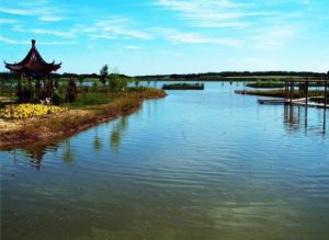 新鎮柏盛園度假村 新鎮柏盛園度假村