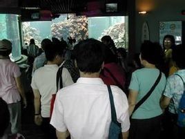 社會教育 社會教育