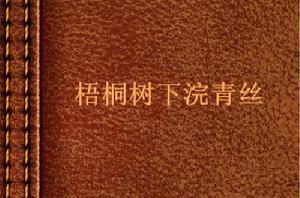 梧桐樹下浣青絲 梧桐樹下浣青絲