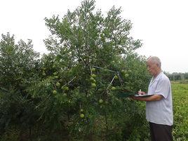 文冠一號 文冠一號