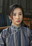 暴風驟雨[2015年何濤執導電視劇]