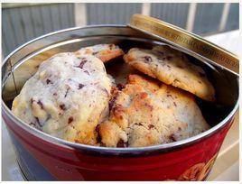 朱古力軟式餅乾 朱古力軟式餅乾