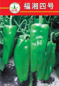 福湘四號 福湘四號