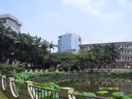 來賓縣衛生成人中等專業學校 來賓縣衛生成人中等專業學校