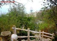 大連金沙灘度假村 大連金沙灘度假村