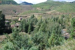 老村子自然村 老村子自然村