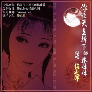 你是天上掉下的林妹妹 你是天上掉下的林妹妹