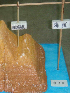 相對高度 相對高度