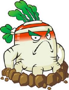 白蘿蔔[遊戲《植物大戰殭屍2》植物]