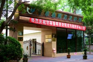 寸草春暉養老院