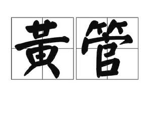 黃管 黃管