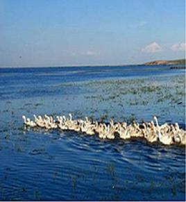 駝馬湖旅遊風景區