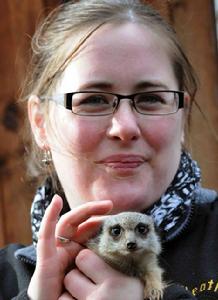 貓鼬為女兒棄做首領獲贊”蒙哥最美父親”