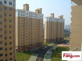 三林新村 三林新村