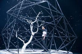 恐高的鳥 恐高的鳥