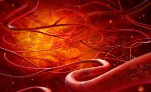 血管年齡 血管年齡